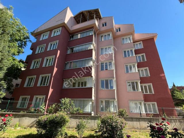 Kastamonu Merkez, Kastamonu içerisinde kiralık mülk