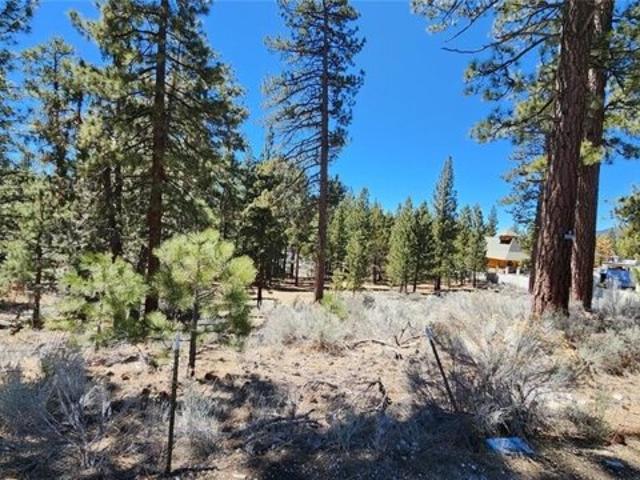 Land for sale in Big Bear Lake Land for sale in Big Bear Lake