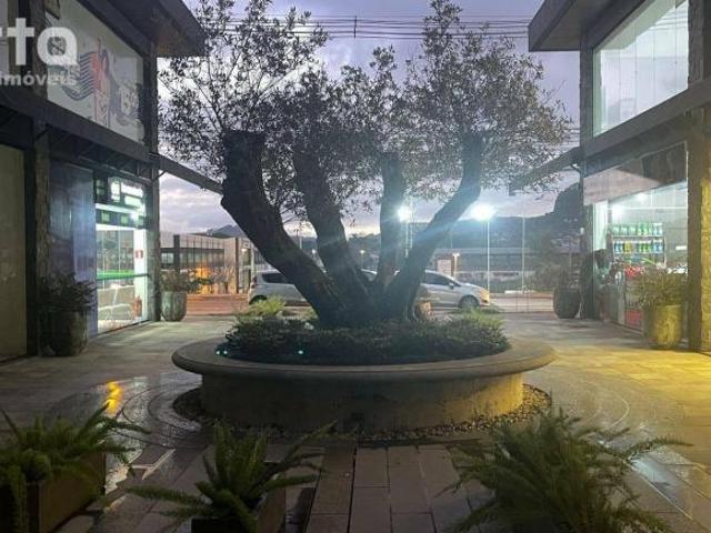 Apartamento venda em Região Geográfica Imediata de Caxias do Sul, Gramado