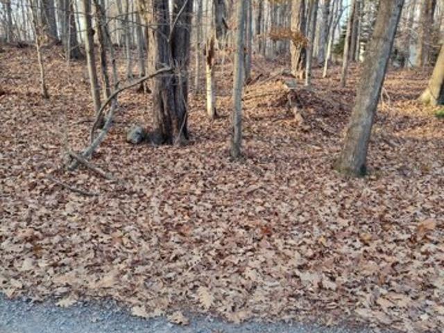 Land for sale in Pocono Lake