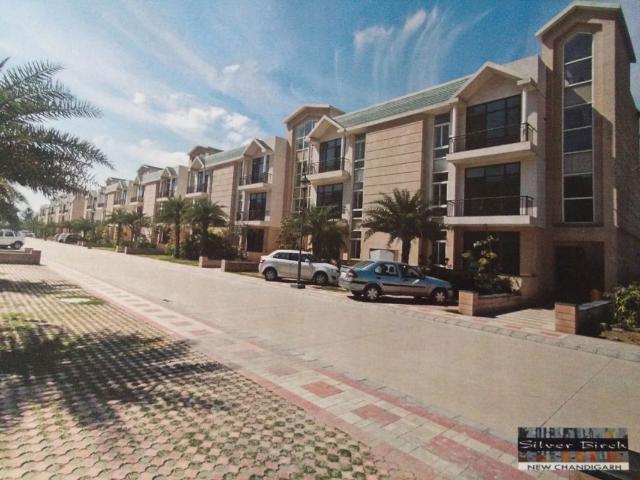 Flat for sale in Chandigarh, Union Territory Of Chandigarh