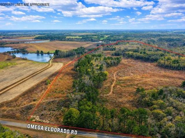 Land for sale in Tifton, Georgia