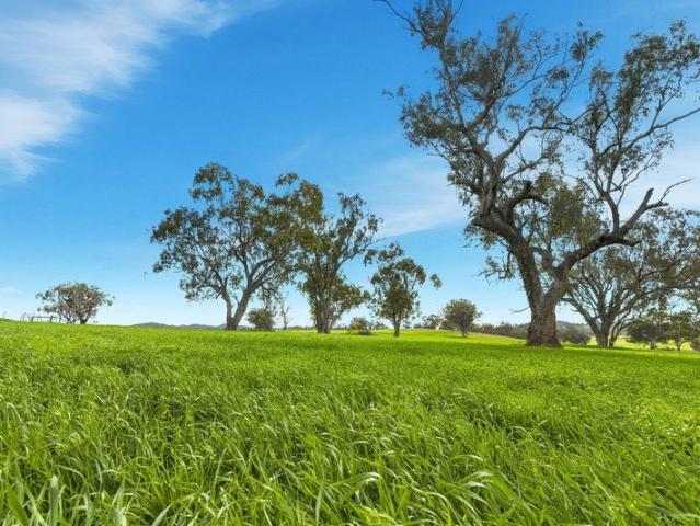 Acreage for sale in Apsley, Wellington