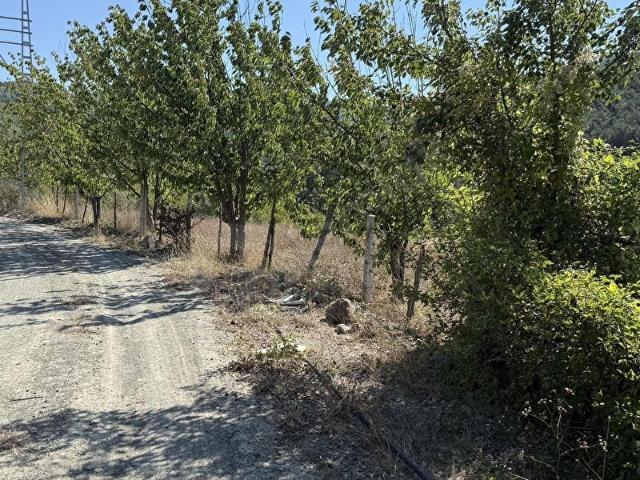 Geyve, Sakarya içerisinde satılık Arsa