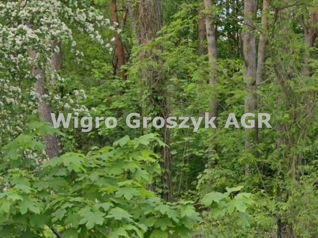 Grunt na sprzedaż w Łomianki, Mazowieckie