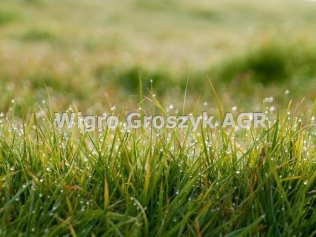 Grunt na sprzedaż w Łomianki, Mazowieckie