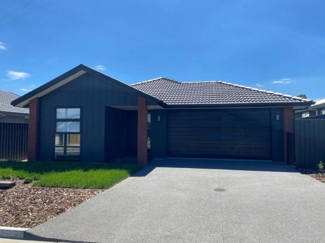 House for rent in Whakamarama, Bay Of Plenty