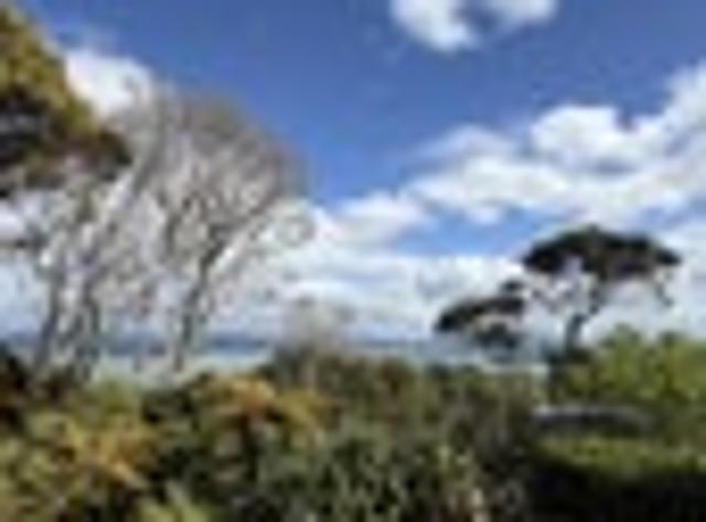 House for rent in Ōmokoroa Beach, Ōmokoroa
