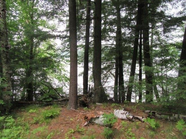 Land for sale in Vilas, Wisconsin
