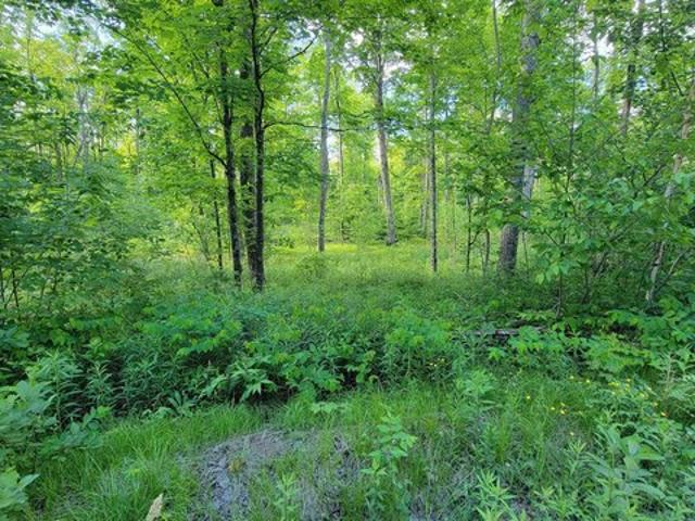 Land for sale in Deerbrook, Wisconsin