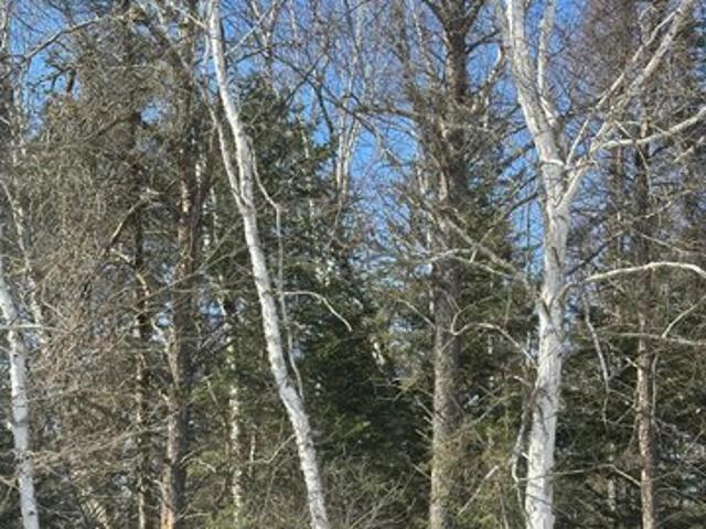 Land for sale in Tomahawk, Wisconsin