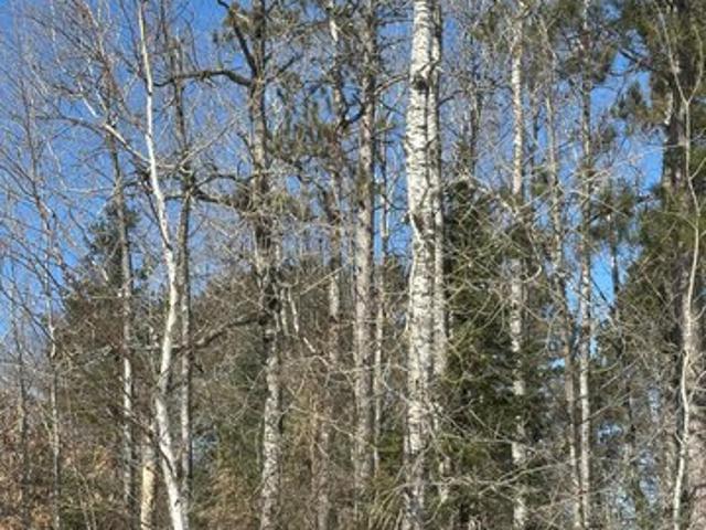 Land for sale in Tomahawk, Wisconsin