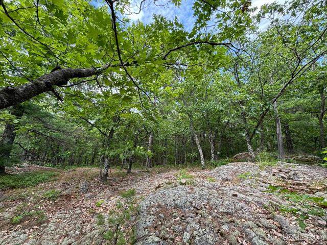 Land for sale in Michigan