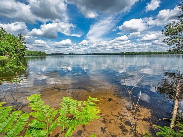 Land for sale in Vilas, Wisconsin