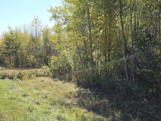 Land for sale in Winter, Sawyer County
