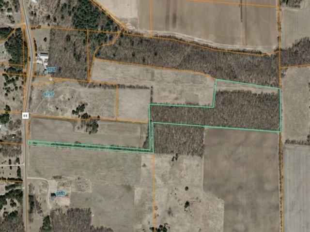 Land for sale in Bancroft, Wisconsin