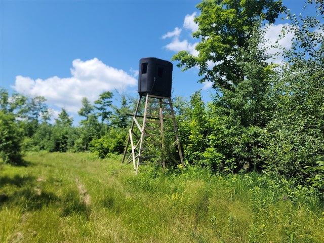 Land for sale in Sawyer, Wisconsin