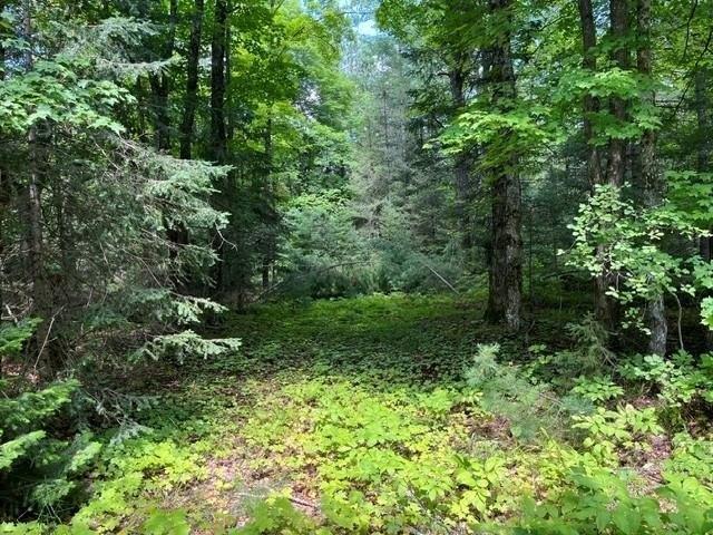 Land for sale in Vilas, Wisconsin
