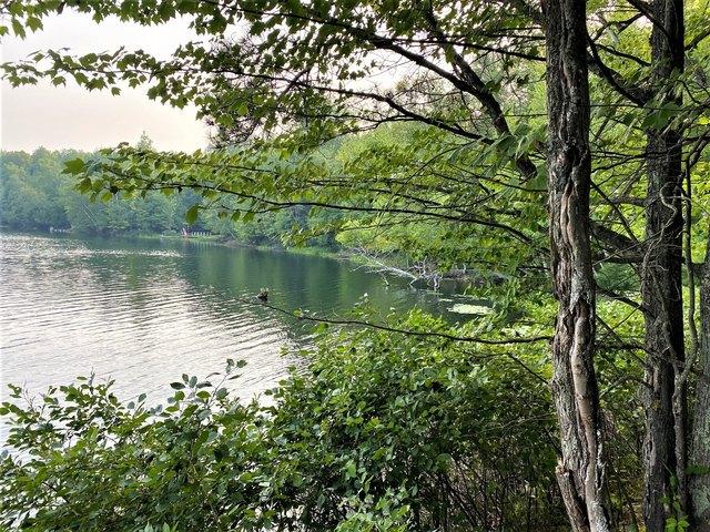 Land for sale in Mercer, Wisconsin