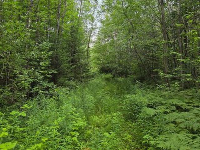 Land for sale in Wisconsin