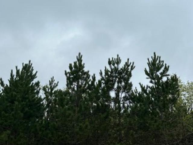Land for sale in Tomahawk, Wisconsin