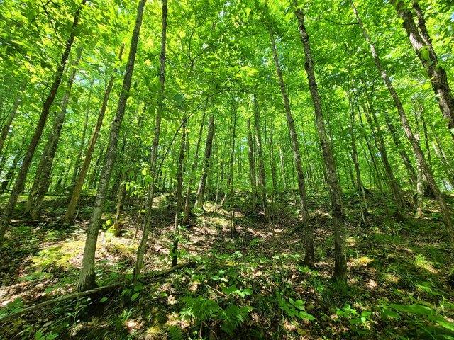 Land for sale in Hurley, Wisconsin