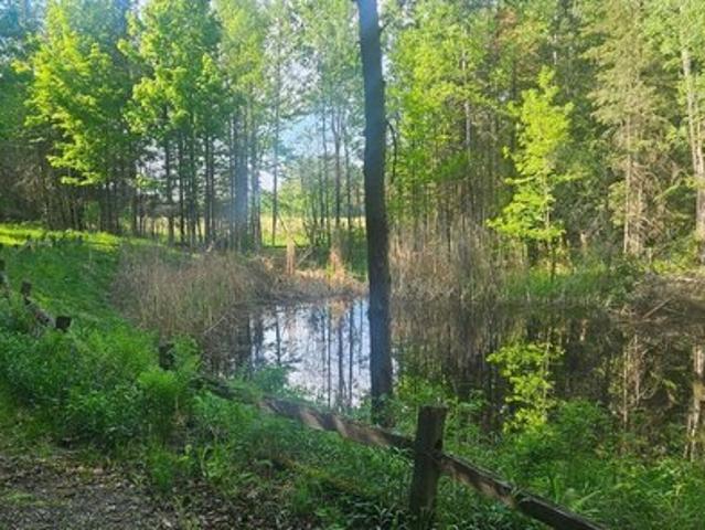 Land for sale in Park Falls, Wisconsin