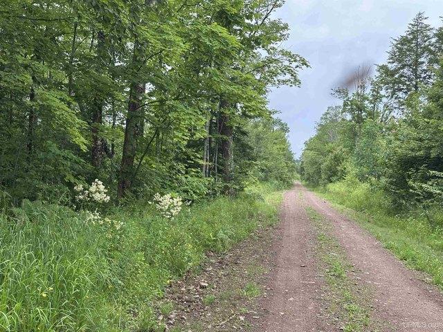 Land for sale in Wakefield, Michigan