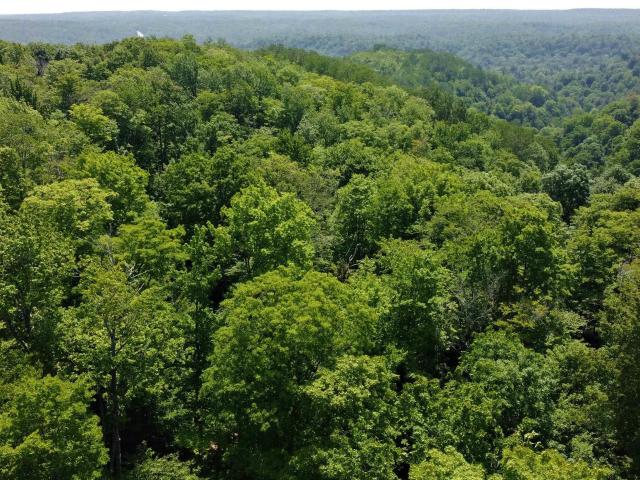 Land for sale in Munising, Michigan