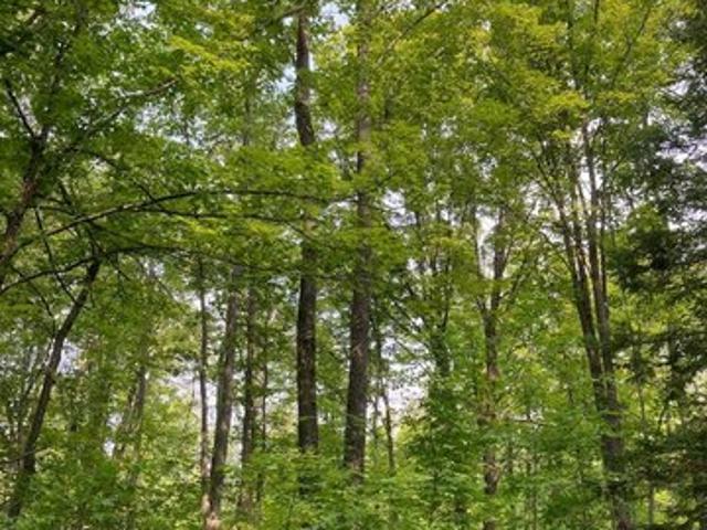 Land for sale in Antigo, Wisconsin