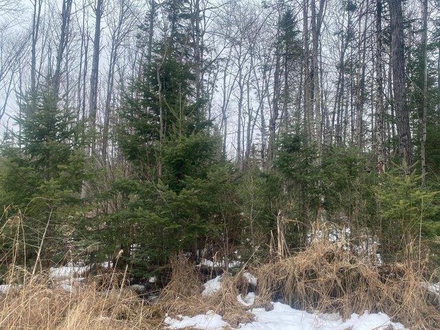 Land for sale in Merrill, Wisconsin
