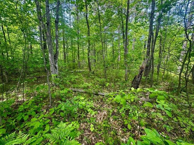 Land for sale in Minocqua, Wisconsin