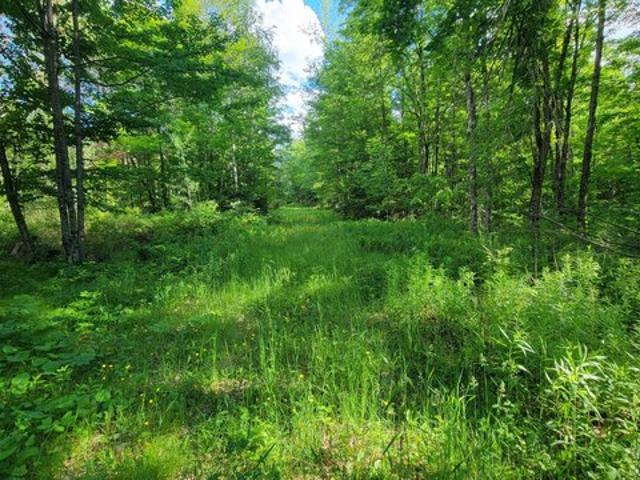 Land for sale in Deerbrook, Wisconsin