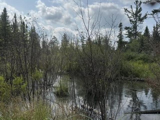 Land for sale in Rhinelander, Wisconsin