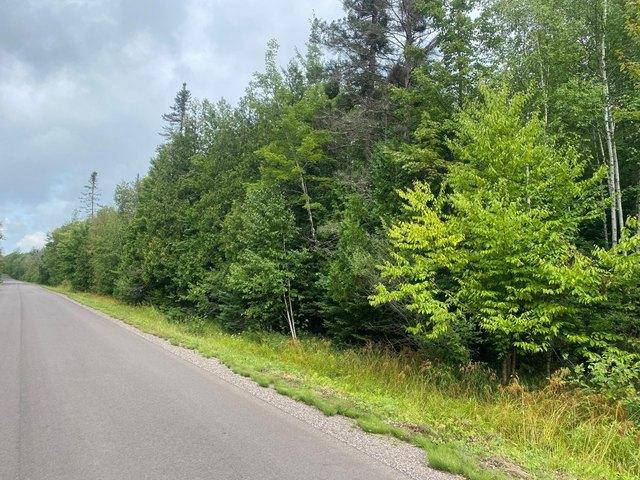 Land for sale in Park Falls, Wisconsin