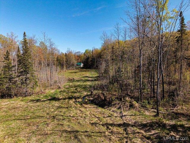 Land for sale in Marenisco, Michigan