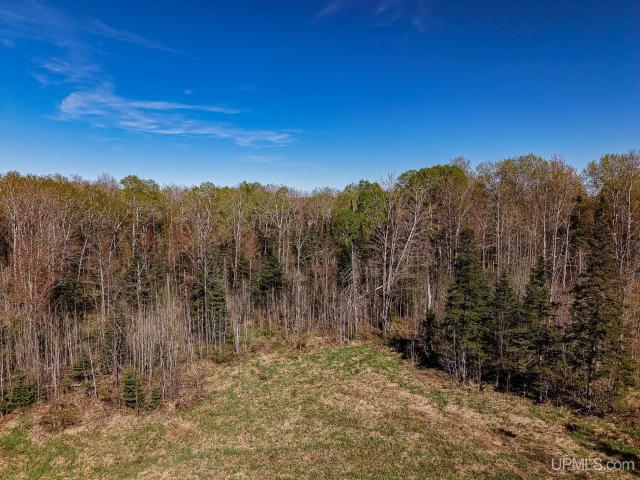 Land for sale in Marenisco, Michigan
