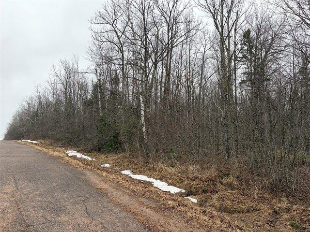 Land for sale in Sawyer, Wisconsin