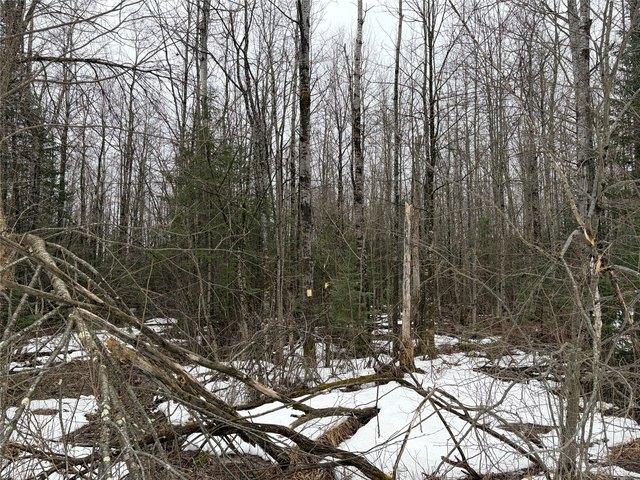 Land for sale in Sawyer, Wisconsin