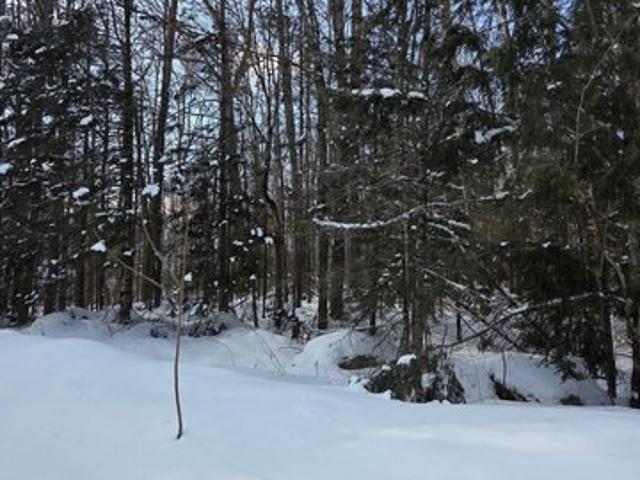 Land for sale in Deerbrook, Wisconsin