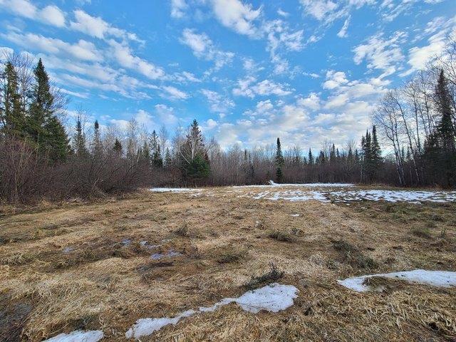 Land for sale in Prentice, Wisconsin