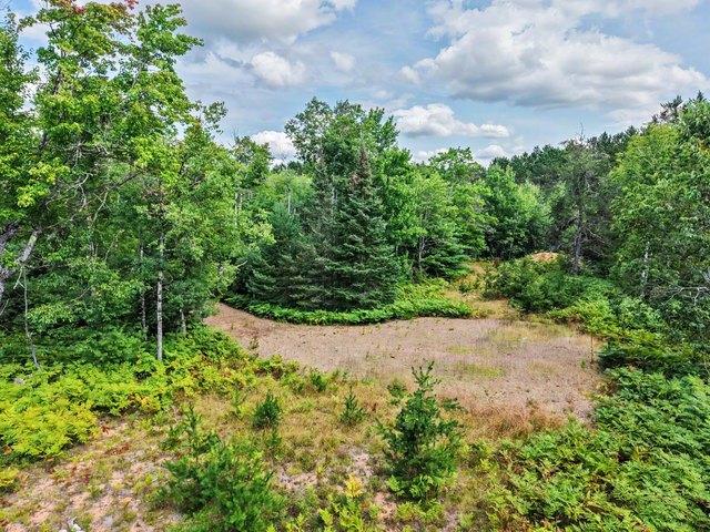 Land for sale in Vilas, Wisconsin