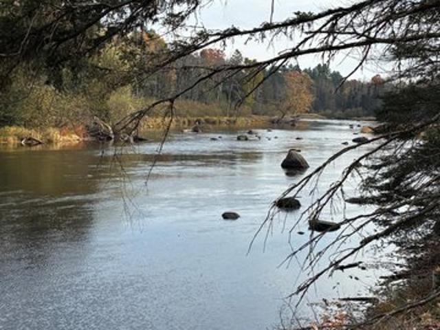 Land for sale in Eagle River, Vilas County