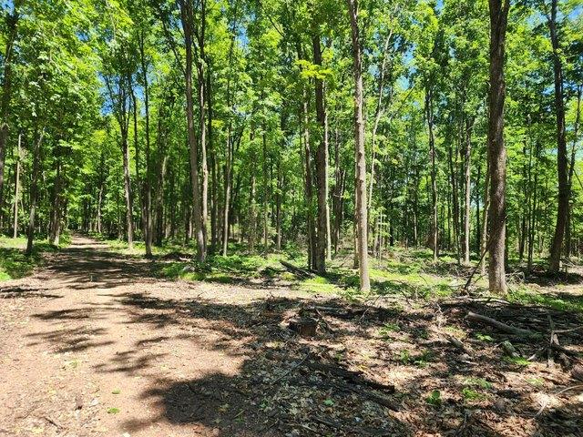 Land for sale in Crandon, Wisconsin