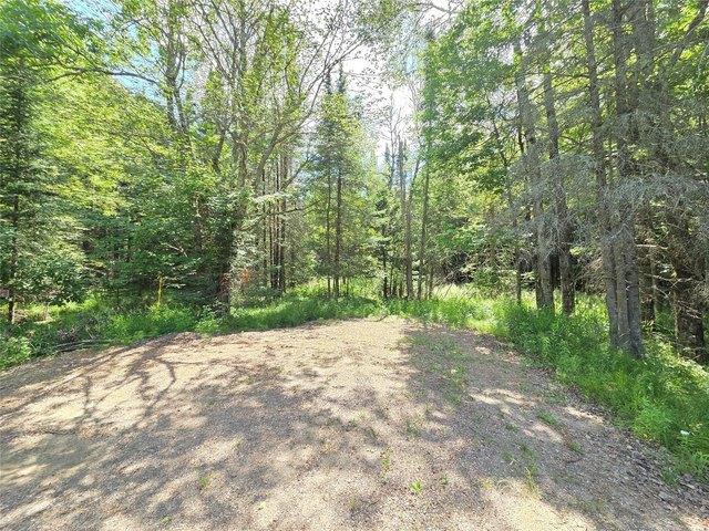 Land for sale in Phillips, Wisconsin