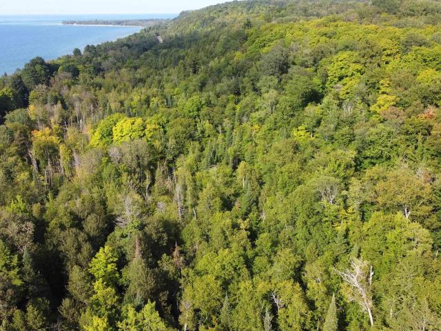Land for sale in Munising, Michigan
