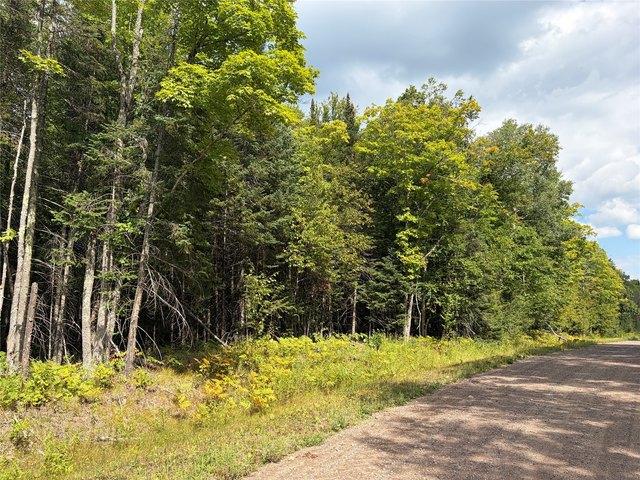 Land for sale in Jacobs, Wisconsin