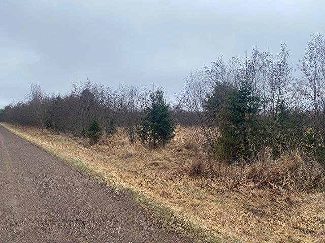 Land for sale in Ogema, Wisconsin