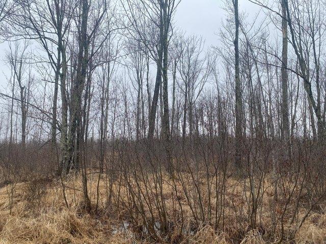 Land for sale in Ogema, Wisconsin