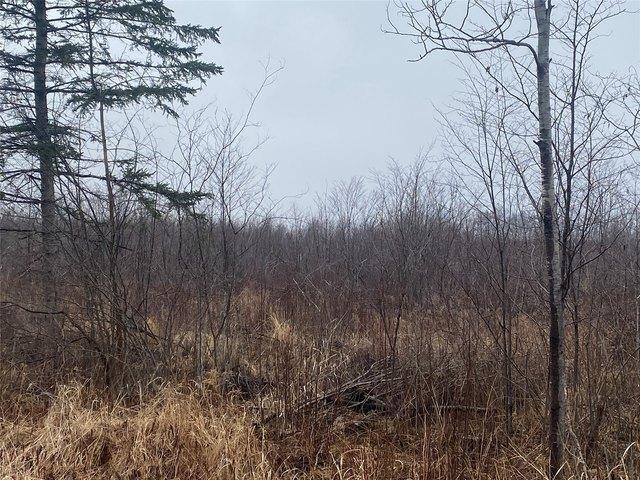 Land for sale in Ogema, Wisconsin